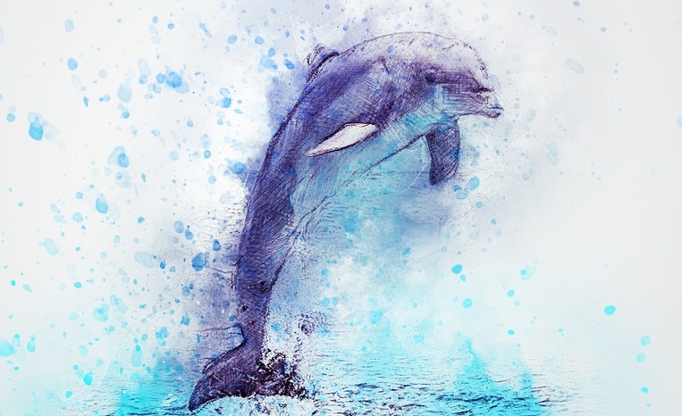 Dolphin graphic PB