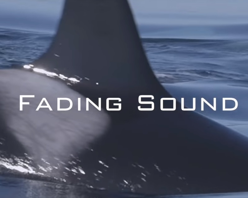 Fading Sound
