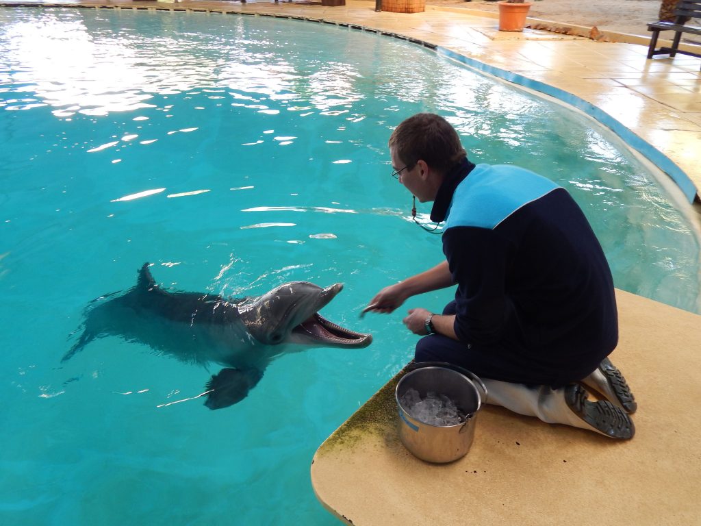 Arnie at Zoomarine, Algarve, Portugal, captive, tank