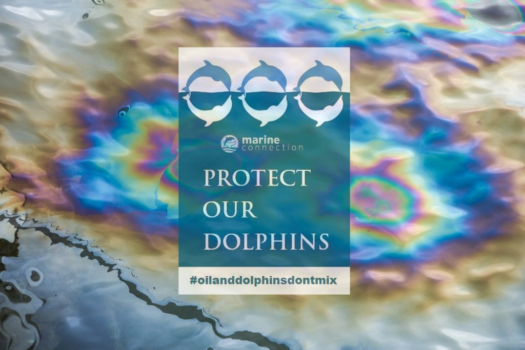 Dolphins, oil, marine connection, moray firth, protect our dolphins