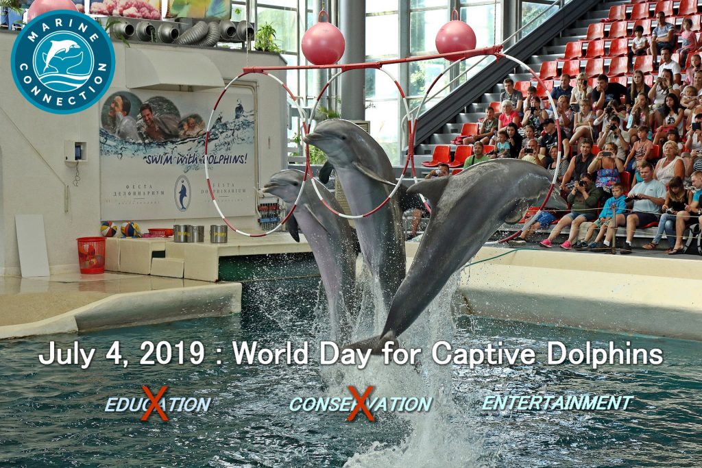 world day for captive dolphins, captivity, dolphins, bulgaria