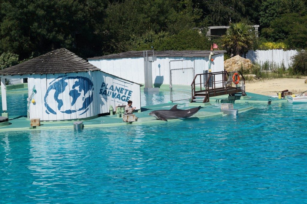 Captivity, dolphins, France, Planete Sauvage