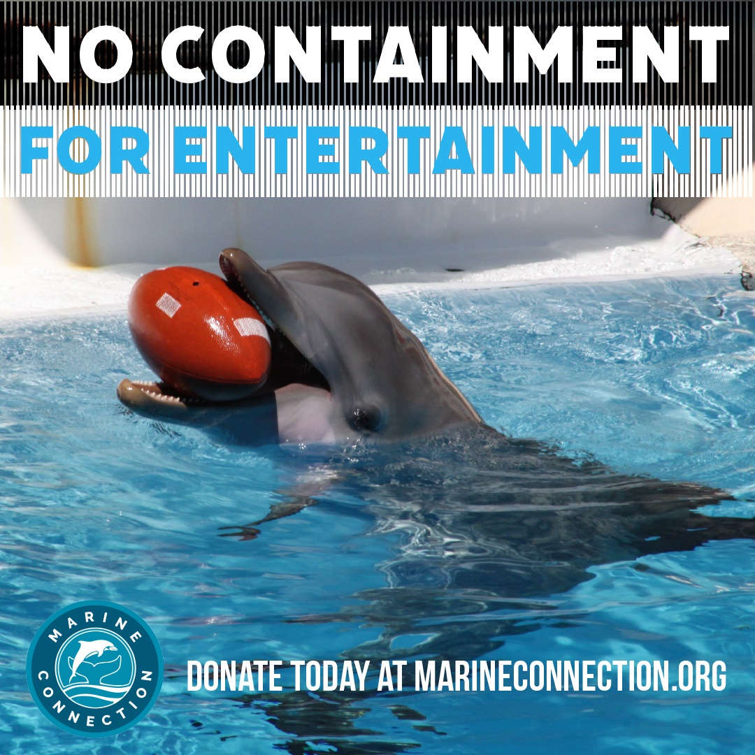 Donate  Marine Connection