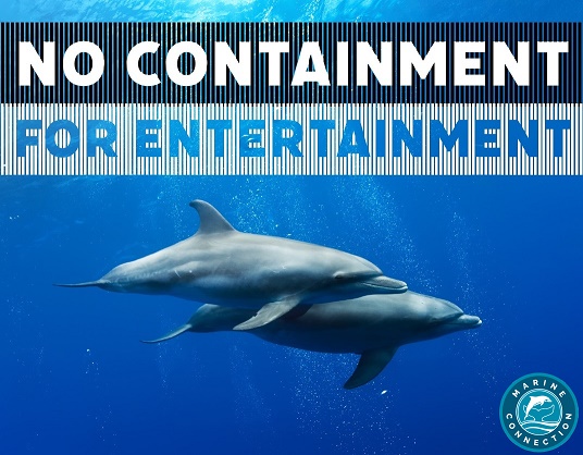 No containment for entertainment, dolphin captivity, marine connection, tanks, entertainment