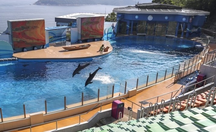 Hong Kong Ocean Park, captivity, dolphins, bail out, captivity