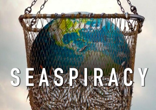 Seaspiracy, bycatch, fishing, marine connection, safety nets campaign, dolphins, porpoises, whales, marinelife