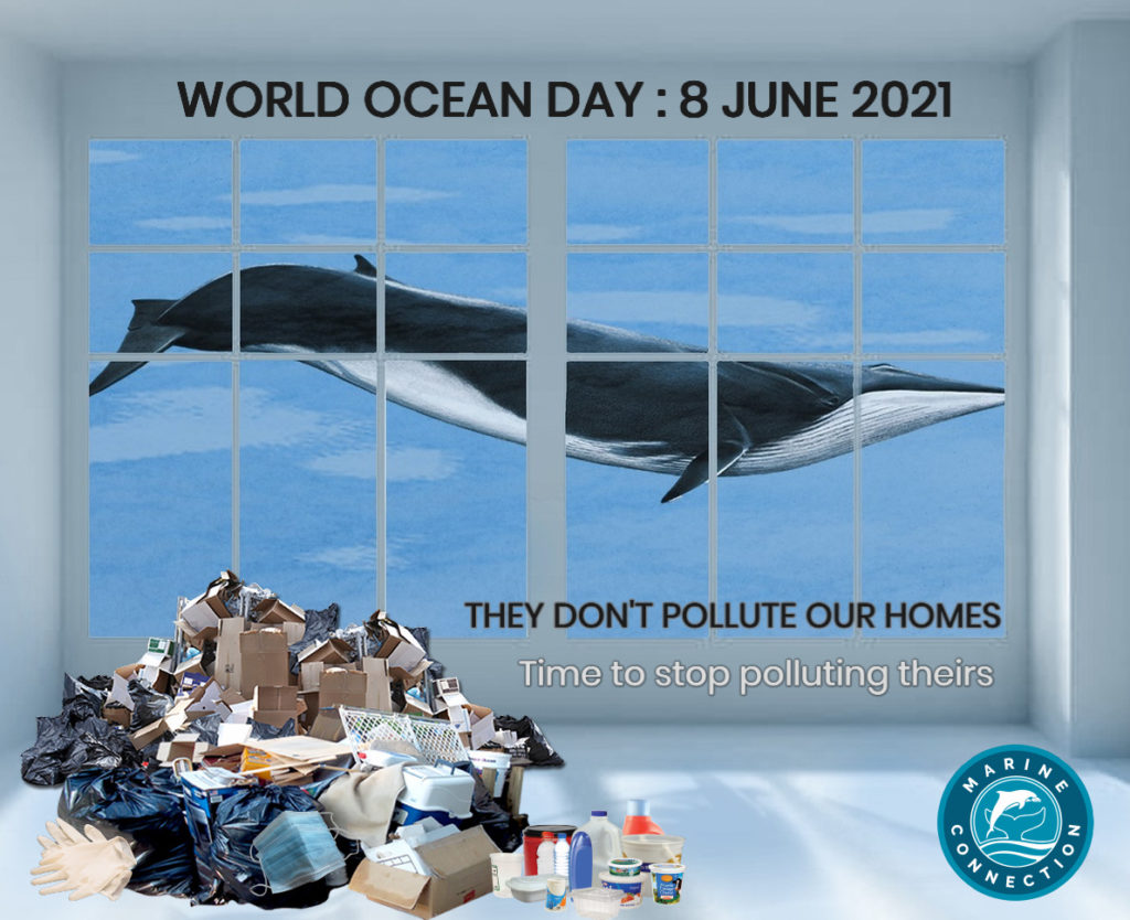 world ocean day 2021, pollution, whales, dolphins, marine life, ocean plastics, marine connection