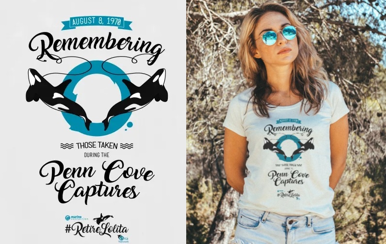 Lolita the orca, penn cove captures, marine connection, orca merchandise, tokitae, miami seaquarium, killer whales, southern resident orca