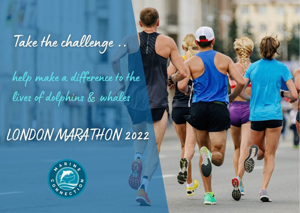 london marathon 2022, running, london, runners, challenge, dolphins, whales, charity place, charity, marathon charity place, marine connection