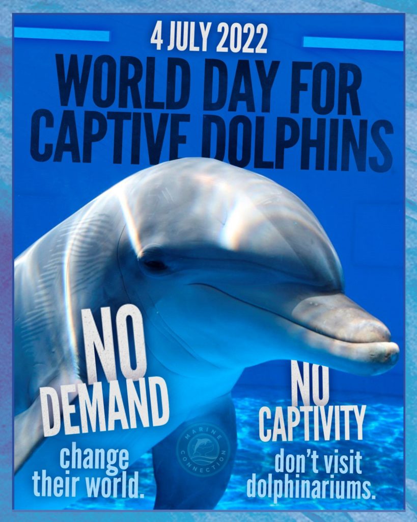 World Day For Captive Dolphins, 4 July, captivity, dolphins, dolphin shows, marine connection, end captivity, empty the tanks