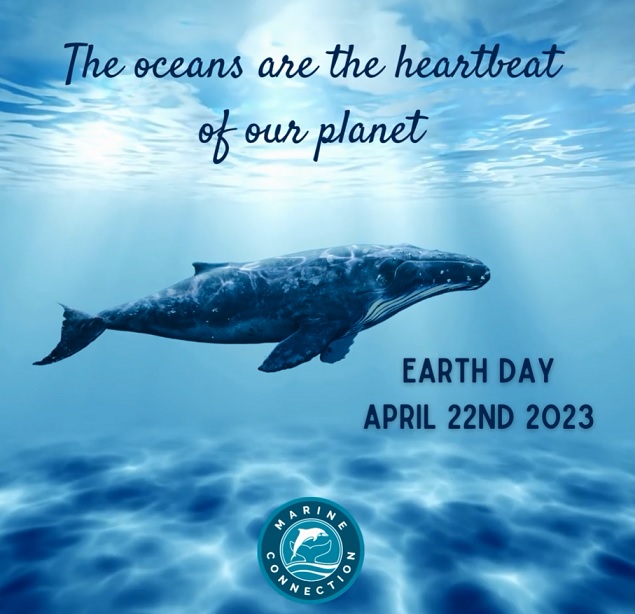 Earth Day 2023, ocean, planet, dolphin, whale, plastics, pollution, marineconnection