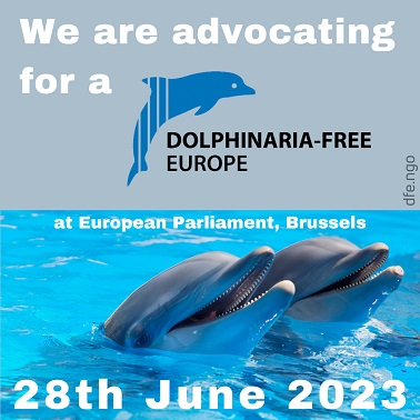 dolphin captivity, whale captivity, dolphinaria free europe, european parliament, Francisco Guerreiro MEP, Pascal Durand MEP, end captivity, marine connection