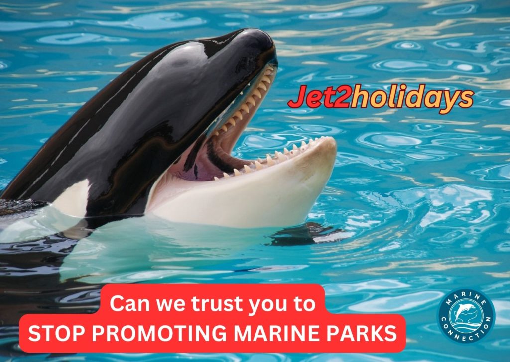 Jet2holidays, captivity, dolphins, whales, marine parks, orcas, PETA, Marine Connection