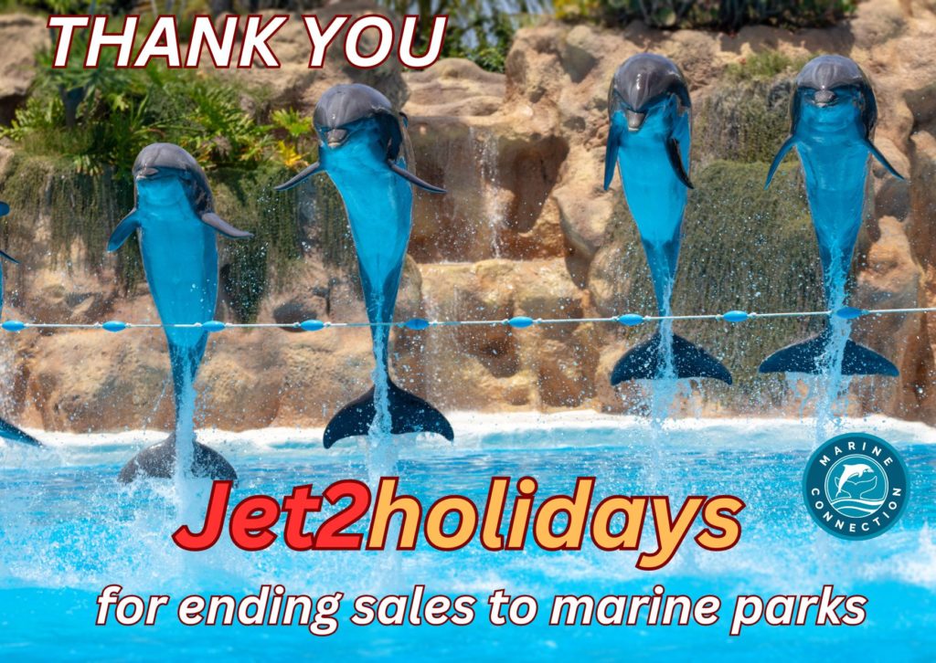 Jet2holidays, end captivity, dolphins, whales,Morgan, orca, Mediterraneo Malta, Loro Parque, Marine Connection