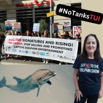 TUI Group, World Animal Protection, Born Free Foundation, PETA, Whale & Dolphin Conservation, Dolphin Project, World Cetacean Alliance, Jane Goodall Institute, WTG, Pro Wildlife, Marine Connection, One Voice, GAIA, FAADA, Orca Research Trust, Deutscher Tierschutzbund, end captivity, dolphins, whales