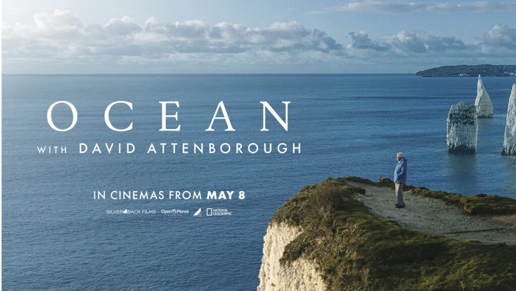 Ocean, Sir David Atenborough, David Attenborough, wildlife, nature, marine connection
