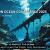 UN Ocean Conference 2025, open letter, end fossil fuels, ocean care, marineconnection