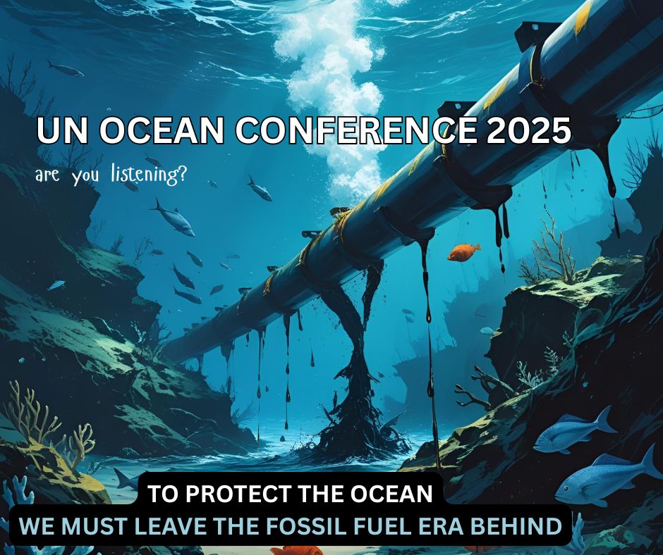 UN Ocean Conference 2025, open letter, end fossil fuels, ocean care, marineconnection