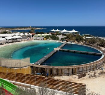 Mediterraneo Marine Park, Malta, dolphins, investigation, Alicia Bugeja Said