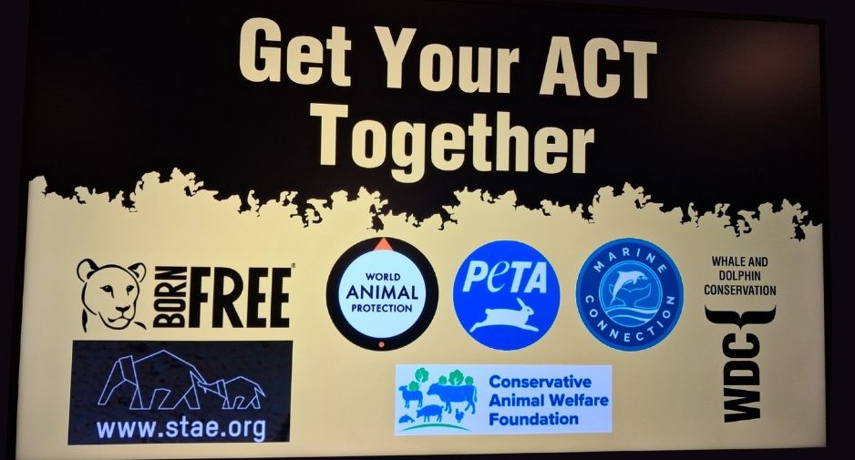 Get Your Act Together, Animals Low Welfare Activities Abroad Act, dolphins, whales, marine connection, born free foundation, world animal protection, PETA, Whale and Dolphin Conservation, letter to UK Prime Minister, UK Parliament