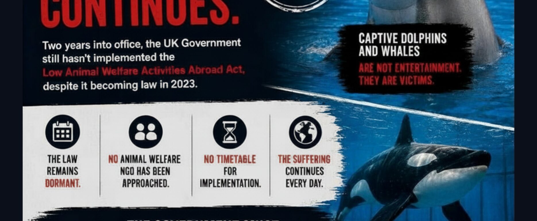 3 years on, get your act together, animal suffering, uk laws for animals, marine connection