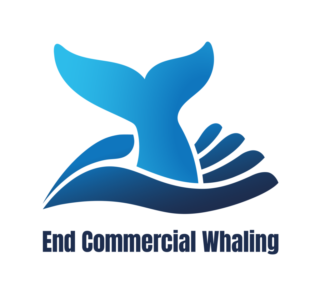 Whaling, Iceland, Norway, Japan, commercial whaling, coalition, marine connection