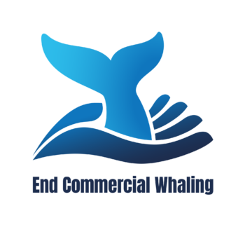 Whaling, Iceland, Norway, Japan, commercial whaling, coalition, marine connection