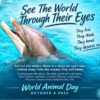 World Animal Day 2026, compassion, see the world through their eyes, captivity, dolphins, whales
